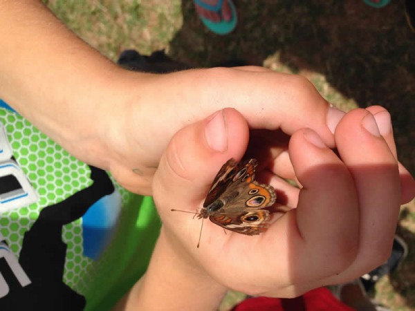 Holding a butterfly