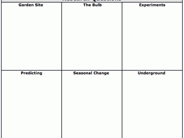 Topics for researching tulips