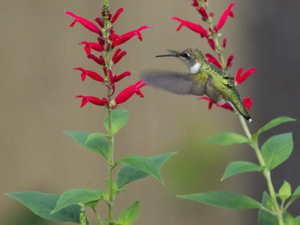 Middletown, Ohio by Bud Hensley