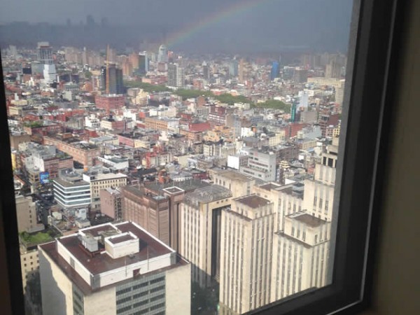 Monarch Butterfly Flying Over New York City