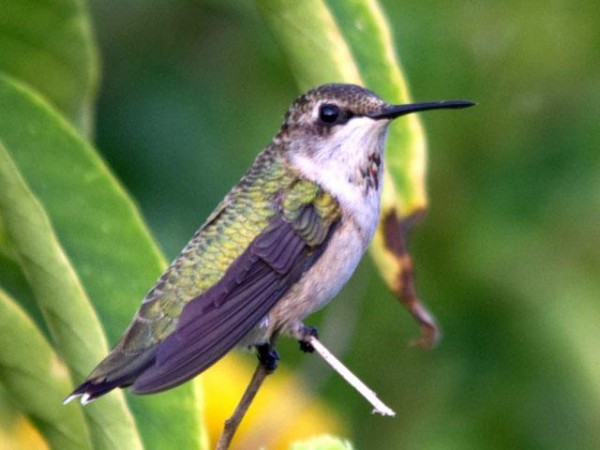 Willis, Texas by Kenneth Drake