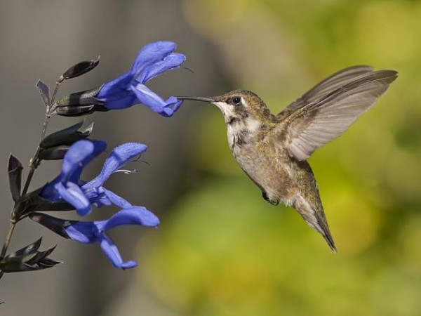 Hamilton, Ontario by Kathy Ward
