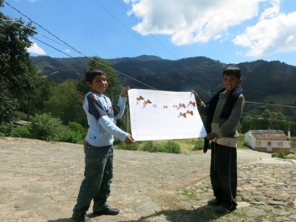 Monitoring the Arrival