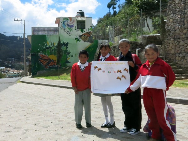 Monitoring the Monarch's Arrival in Mexico