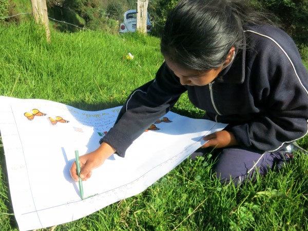 Monitoring the Monarch's Arrival in Mexico