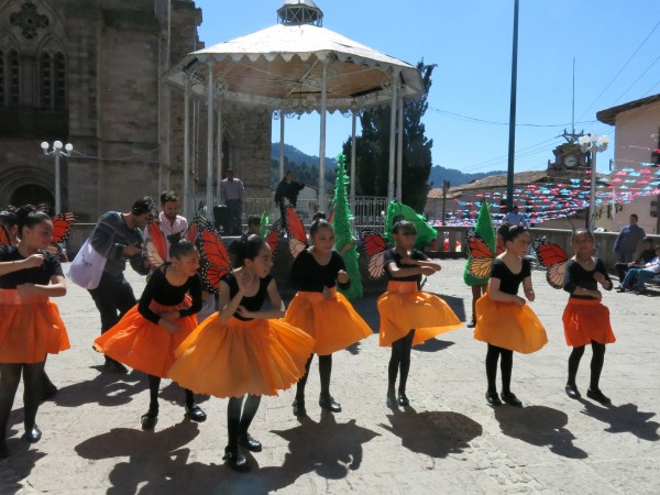 Letter from Estela Romero