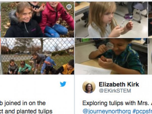 Tweeting about the tulip project using #JNShare