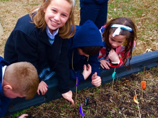 Emergence in Tennessee