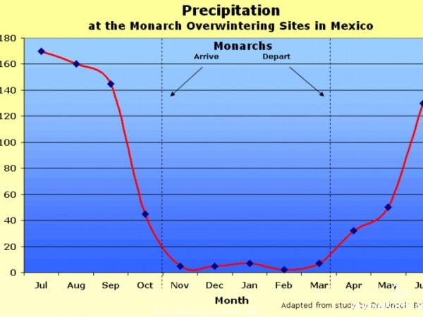 Graph: Precipitation at the Monarch Sanctuaries in Mexico