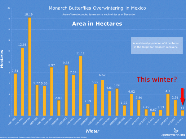 Graph: Monarch Butterfly Winter Population Size