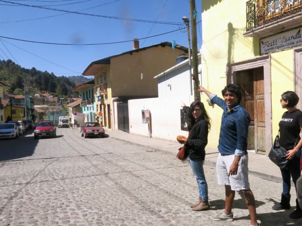 Butterflies flying over Angangueo