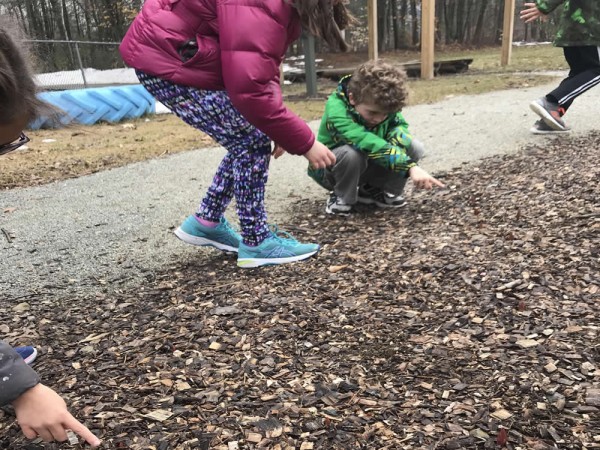 Emergence in New Hampshire