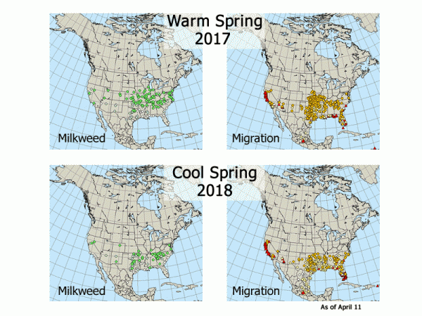 Warm Spring, Cool Spring