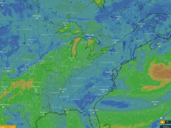 Winds bring sightings