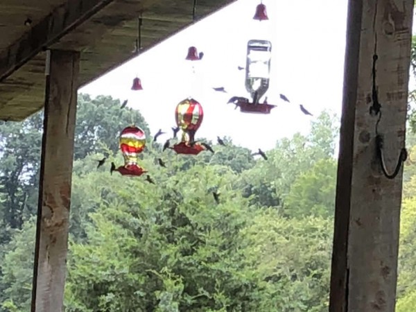 Stopover in Bonham, Texas