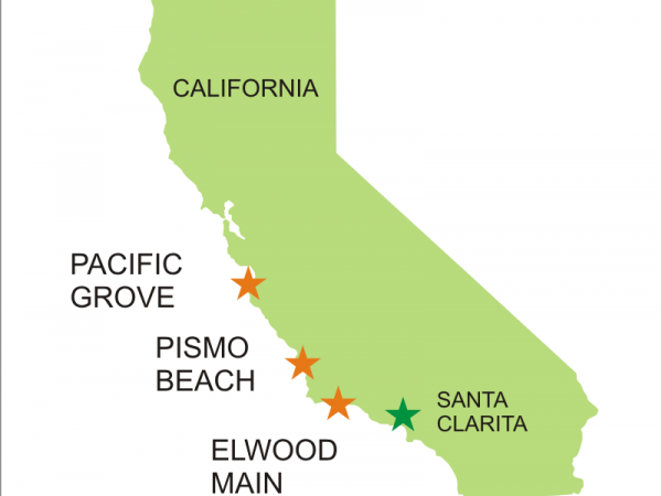 California Monarch Overwintering Groves