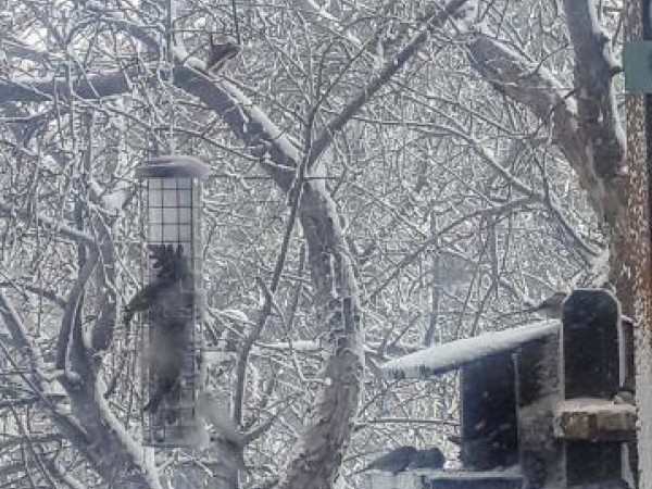 03/20/2019 Greetings, Colorado Springs, CO 