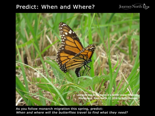 Predict: When and Where Travel?