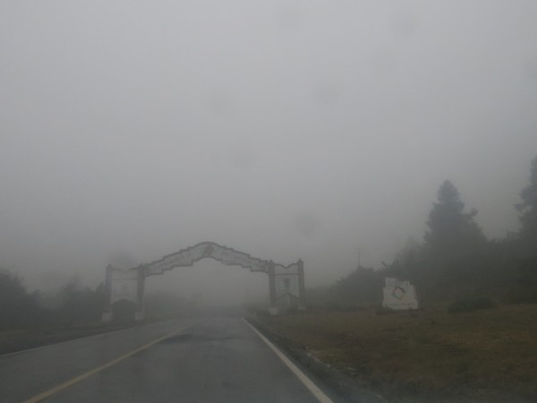 A foggy day at the sanctuary.