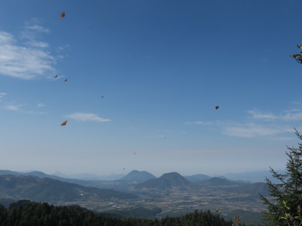 best spot to see migration 