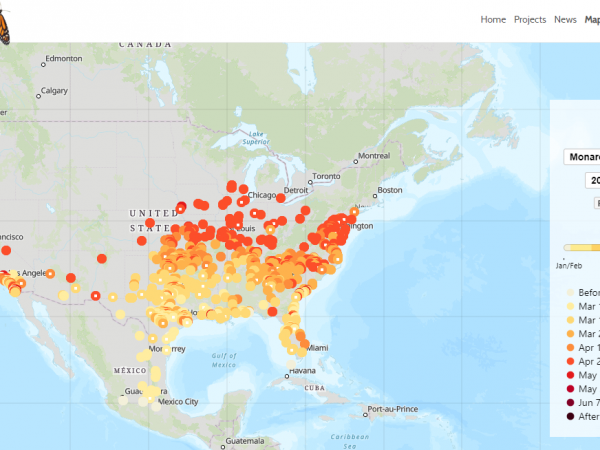 Journey North migration map.