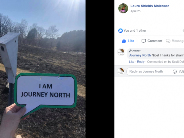 I am Journey North Facebook submission.