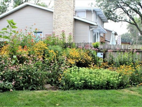 Pollinator Patches