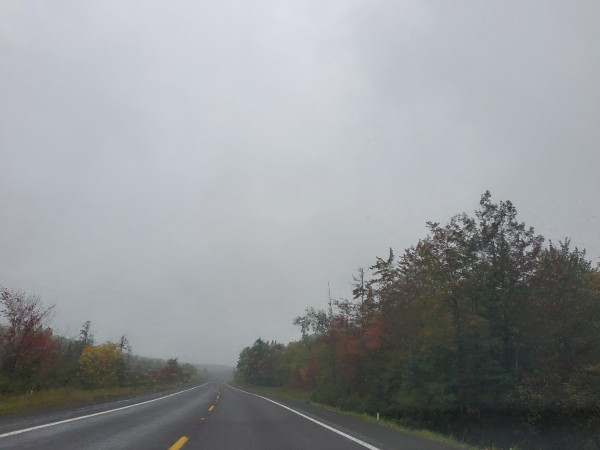 Fall colors in Michigan.