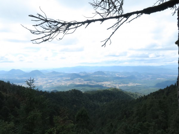 Monarch Butterfly Biosphere Reserve Reports