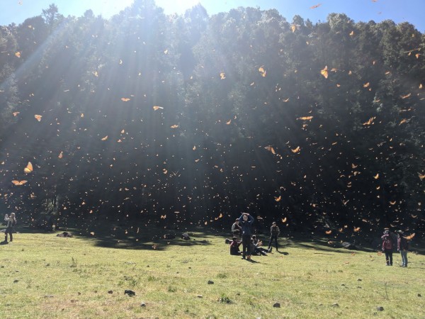 Retrospective: El Llano Peak 2019-2020 Season