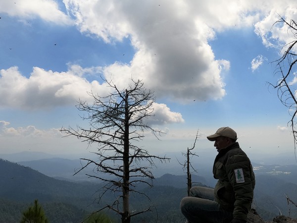 Guardian Emilio Velazquez on El Asoleadero Ridge