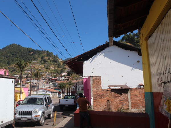 Monarchs Streaming Down to Angangueo 