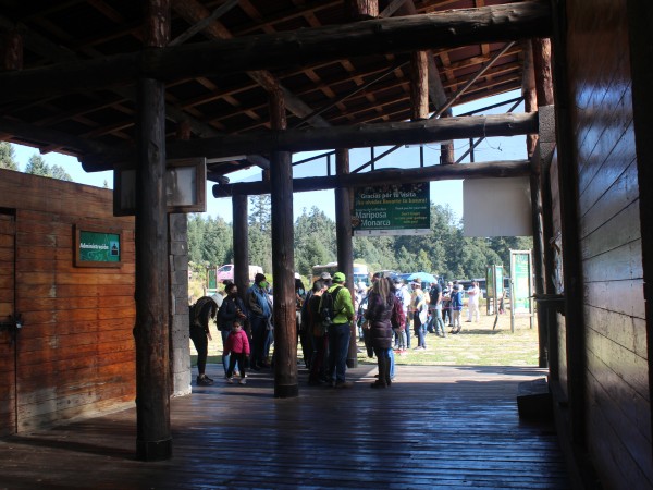 visitors to monarch sanctuary
