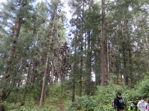 El Rosario Sanctuary