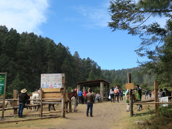 Visitors at Sierra Chincua.