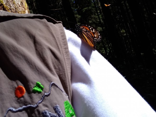 La Comisión Estatal de Parques Naturales y de la Fauna (CEPANAF) 