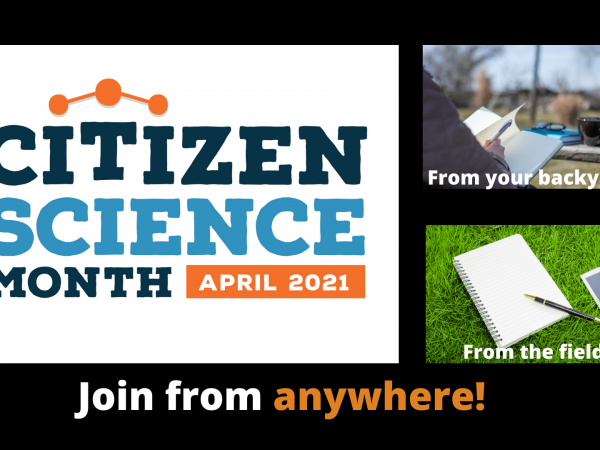 Citizen Science Month with Journey North