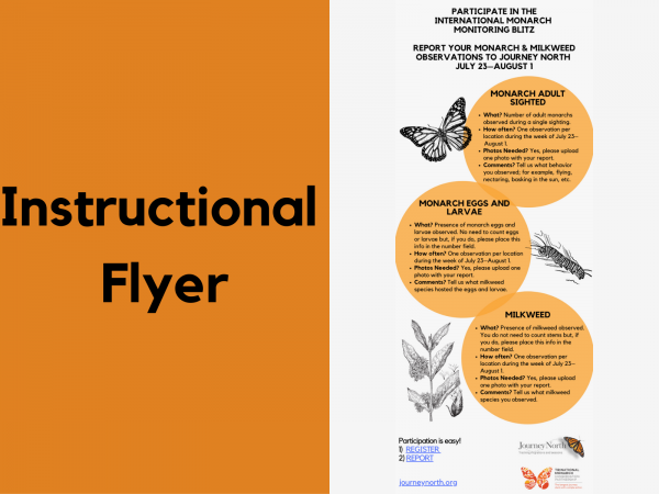 Monitoring Blitz Instructional Flyer