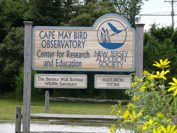 Cape May Bird Observatory