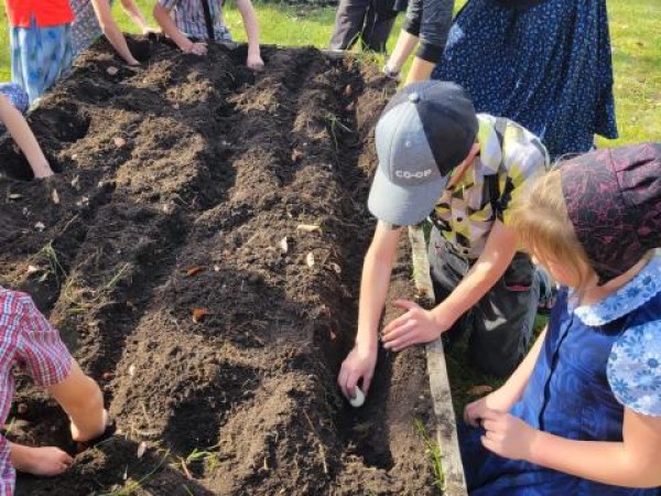 students planting tulips 