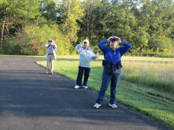 Searching for fall roosts