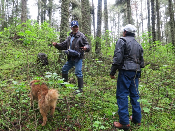 Inspecting forests in Mexico