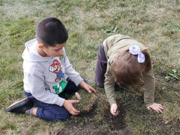 students planting tulips 