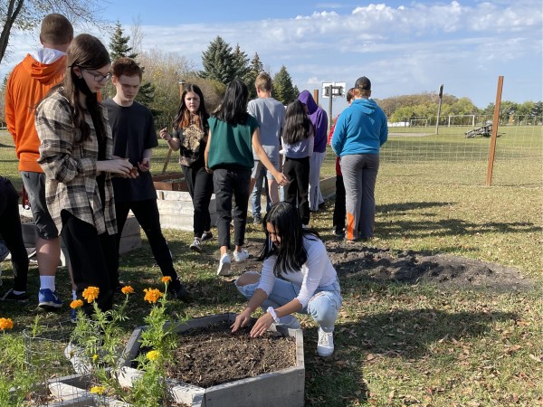 Tulip Test Garden in Manitoba