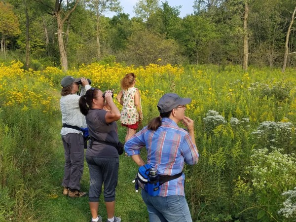 Searching for fall roosts