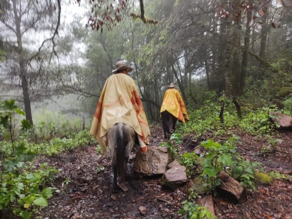 Forest Guardians at Cerro Pelon