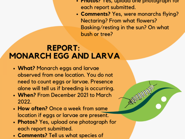 instructional flyer