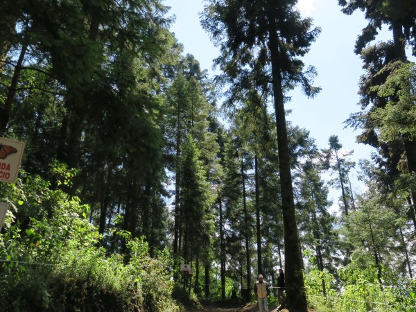 El Rosario Sanctuary