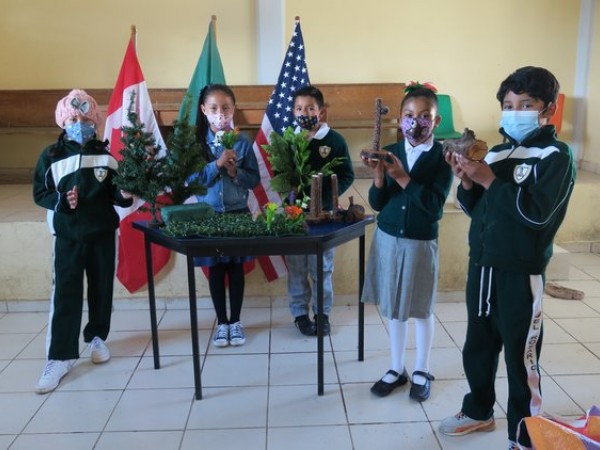 lesson on value of trees