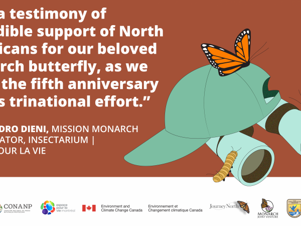 Words From Mission Monarch